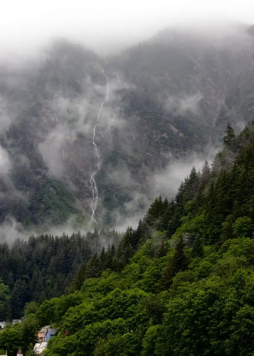 Dark Green Forest Foggy Mountain Canvas Wall Art | Nature Print