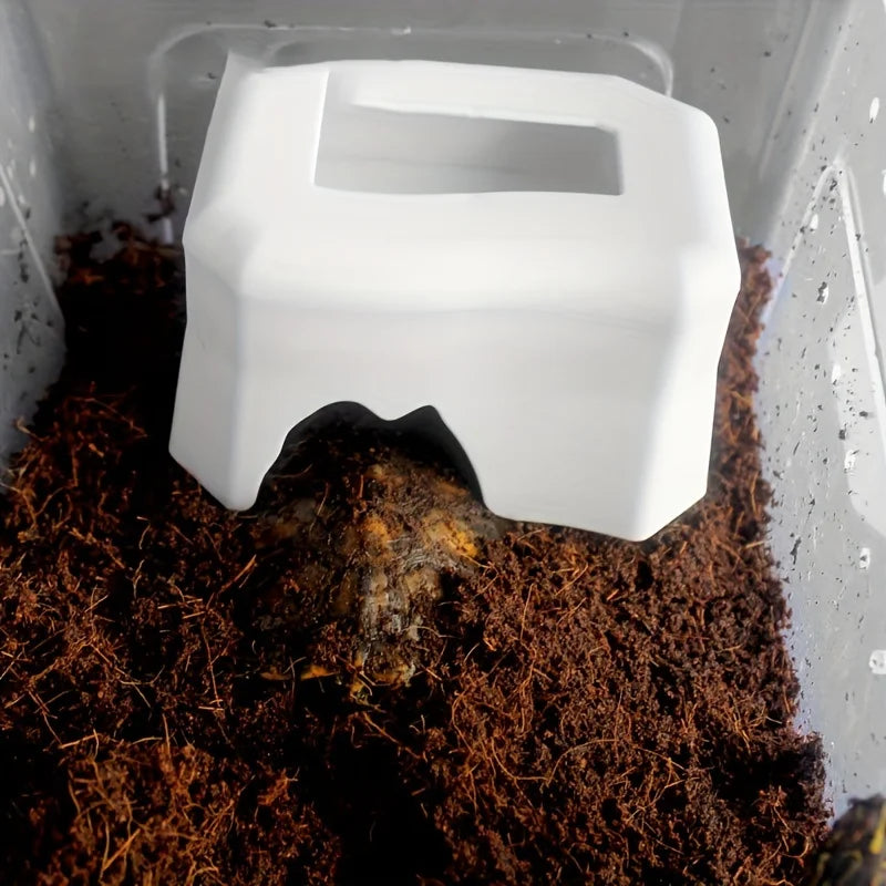 Reptile Water Bowl – Tortoise, Snake & Lizard Drinking Basin