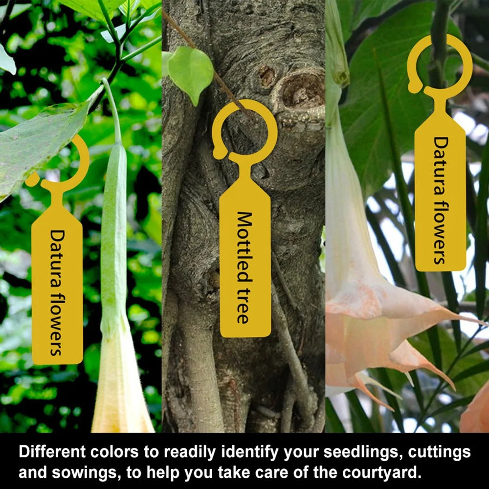 200PCS Reusable Plastic Plant Labels – Writable Nursery Tags