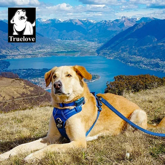 Truelove No-Pull Reflective Dog Harness Leash Collar Set Peaceful Pleasures Health and Wellness