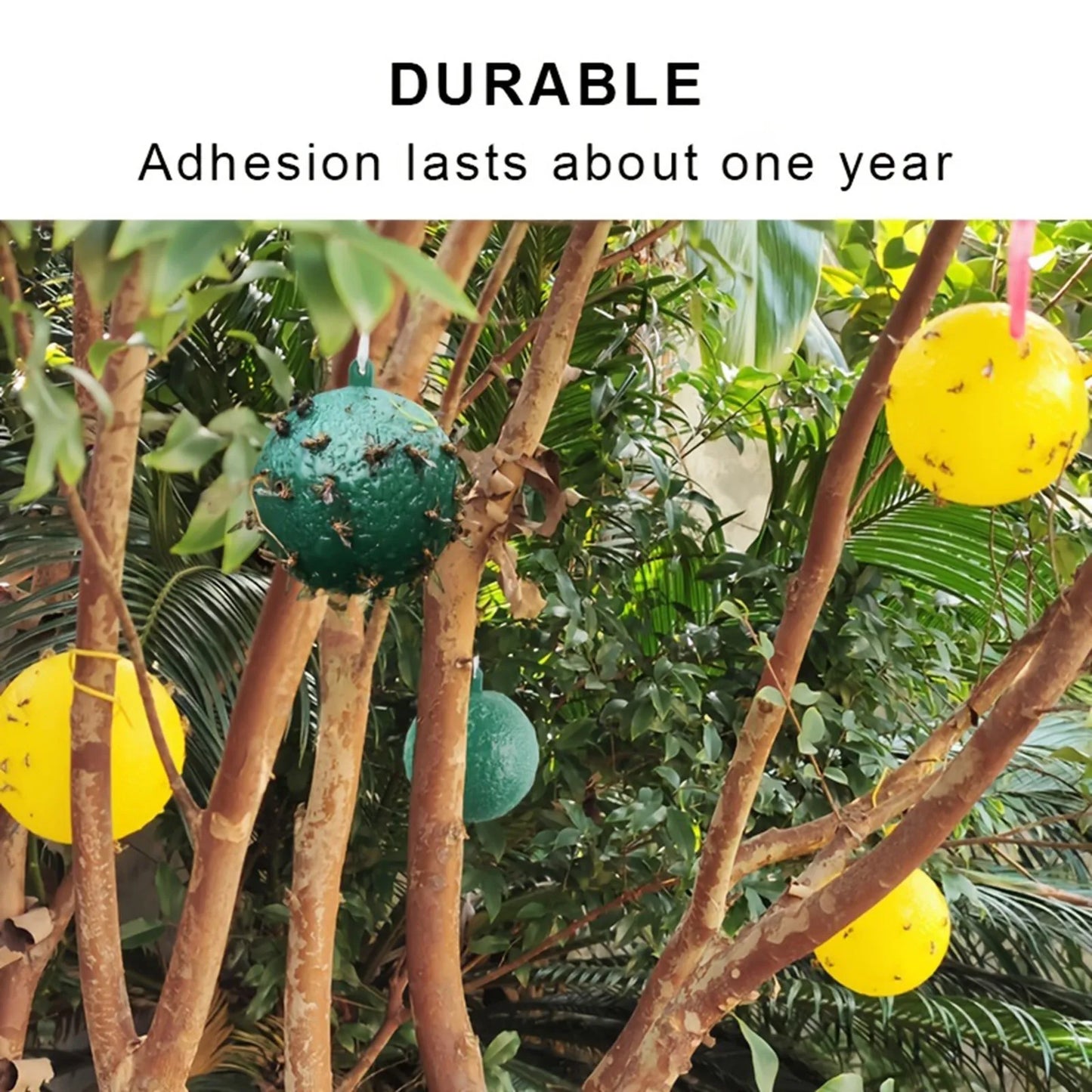Waterproof Dual Color Fly Catching Ball Visual Attraction Design Durable Adhesive Orb Trap Wandering Winged Pests Practical Farm Peaceful Pleasures Health and Wellness