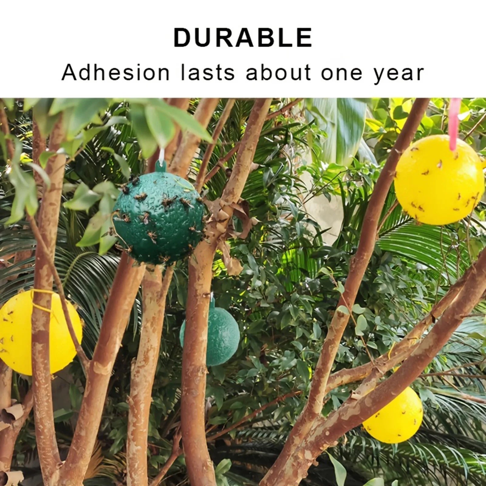 Waterproof Dual Color Fly Catching Ball Visual Attraction Design Durable Adhesive Orb Trap Wandering Winged Pests Practical Farm Peaceful Pleasures Health and Wellness