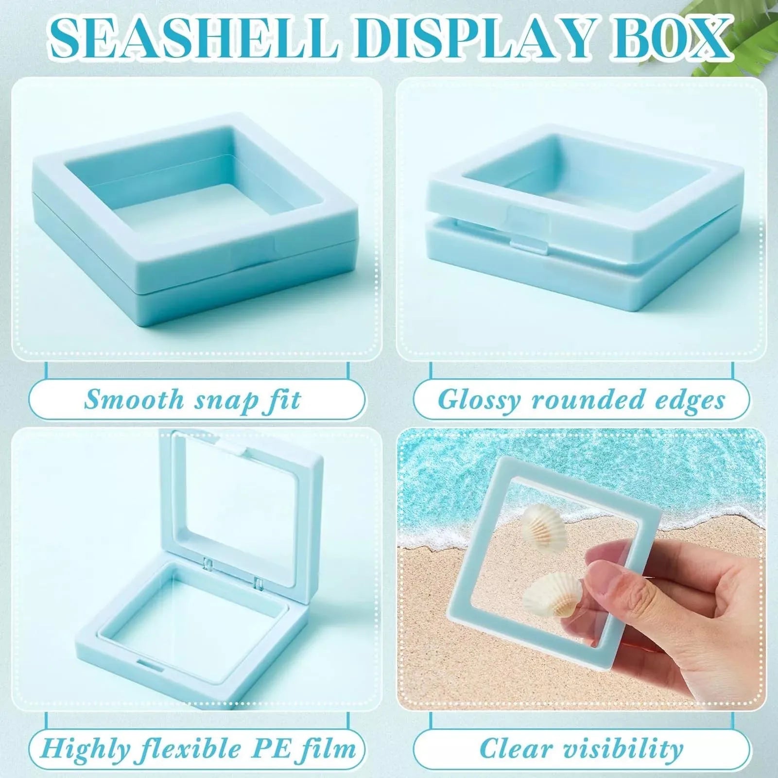 3D Floating Seashell Display Box Small Craft Organizers Display Case for Home Display Cabinet Showcase Peaceful Pleasures Health and Wellness