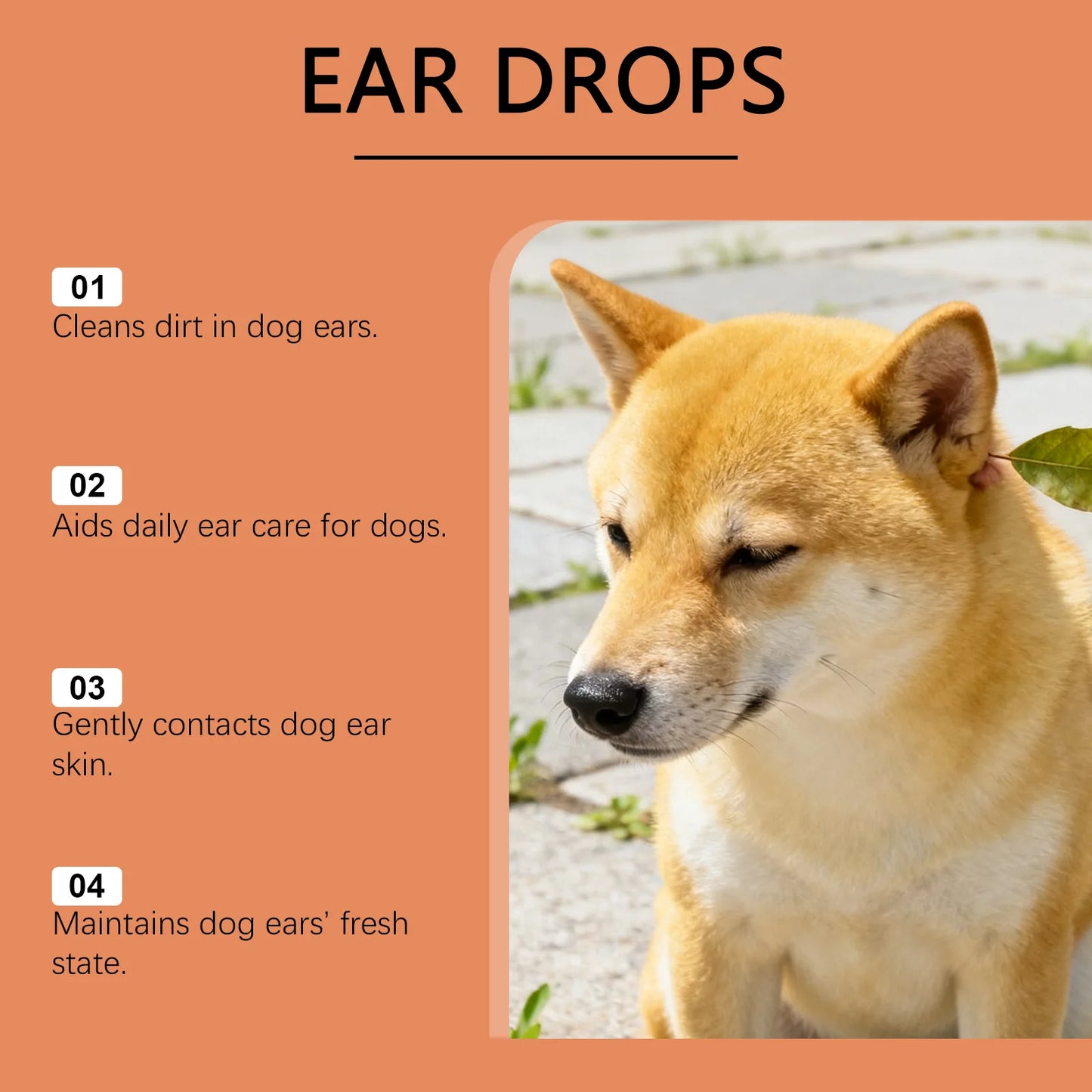 Pet Ear Drops for Dogs & Cats – Earwax Cleaner & Itch Relief