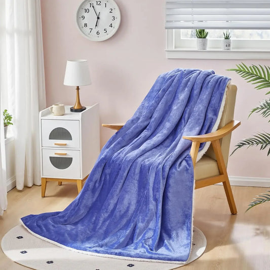Twin Size Electric Heated Blanket with 9 Heat Levels, Auto Off Timer, Machine Washable, Purple Peaceful Pleasures Health and Wellness United States