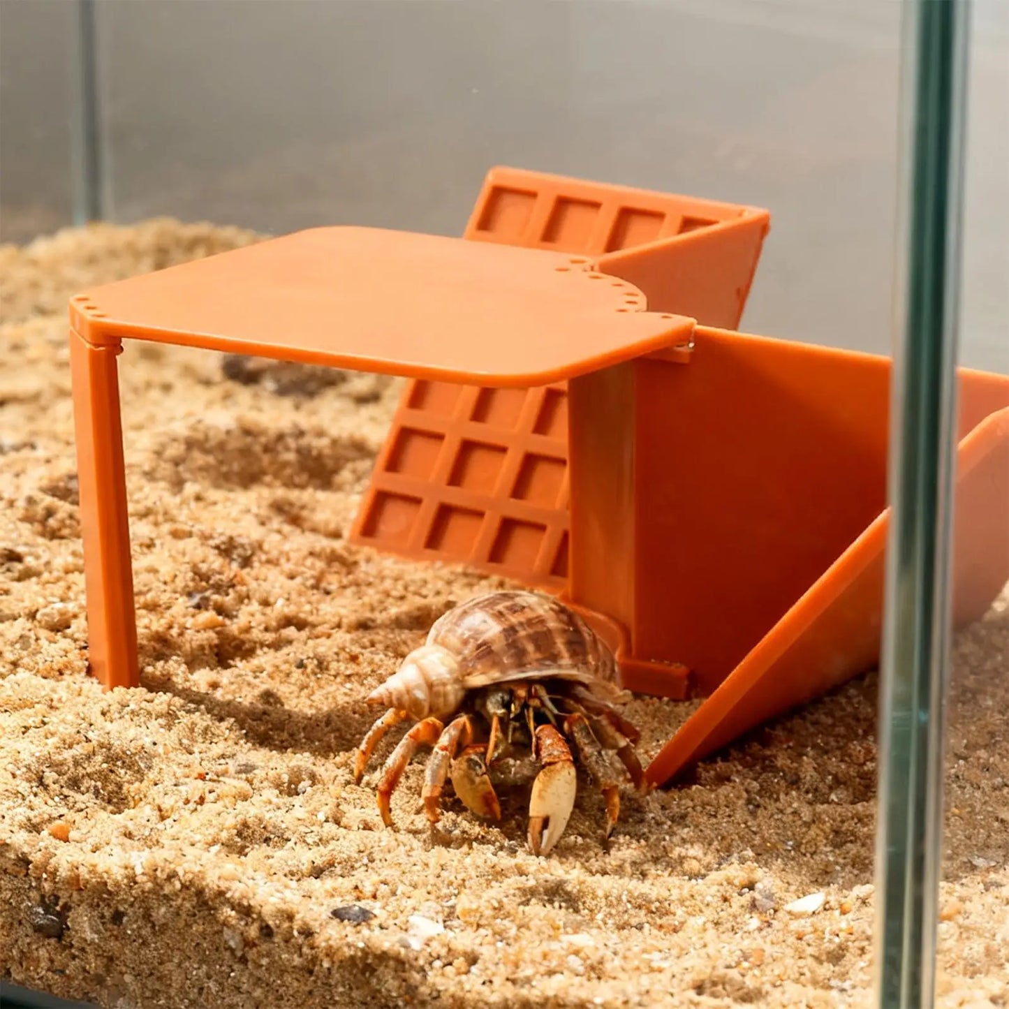 Hermit Crab Cave Habitat Reptile Hideaway Tank Decor Hermit Crab Cave Tank Decor For Relaxing Sleeping Geckos Hamsters Turtle Peaceful Pleasures Health and Wellness
