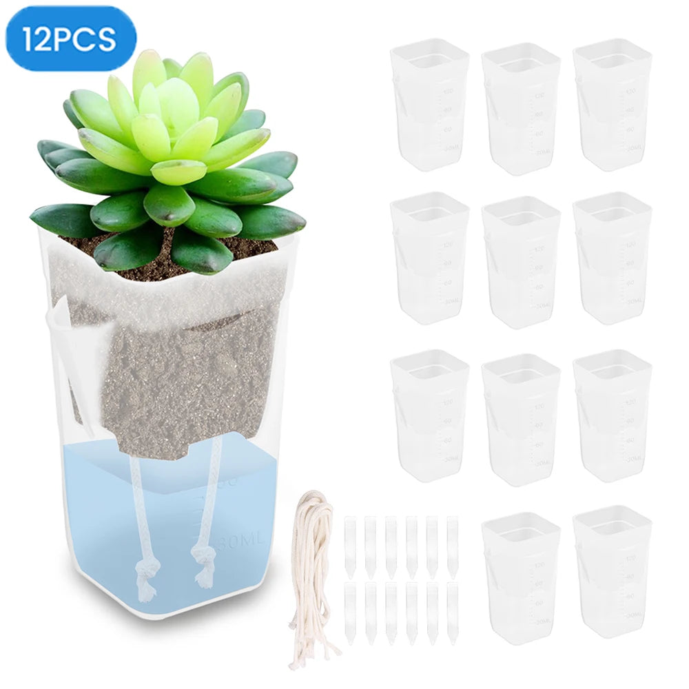 12-Pack Self Watering Mini Pots 2/2.5 Inch | Transparent Plastic