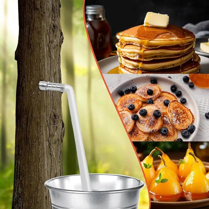 Stainless Steel Maple Syrup Tapping Kit – 4-Set with Hooks Maple Tapping Kit Peaceful Pleasures Health and Wellness
