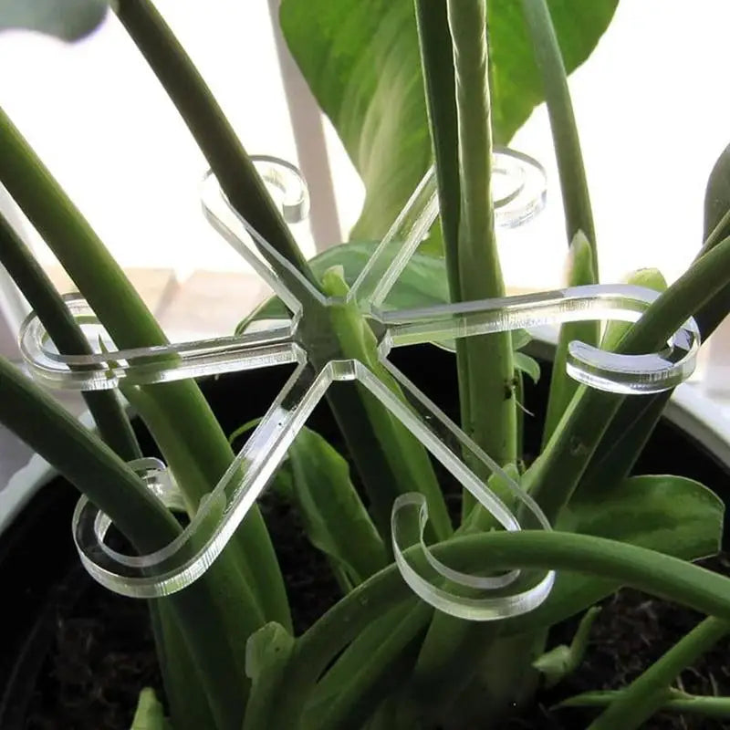 Plant Stem Support Reusable Plants Support Clips Garden Plants Accessories Flower Branches Stem Organizer Stand Fixing Clamp Peaceful Pleasures Health and Wellness