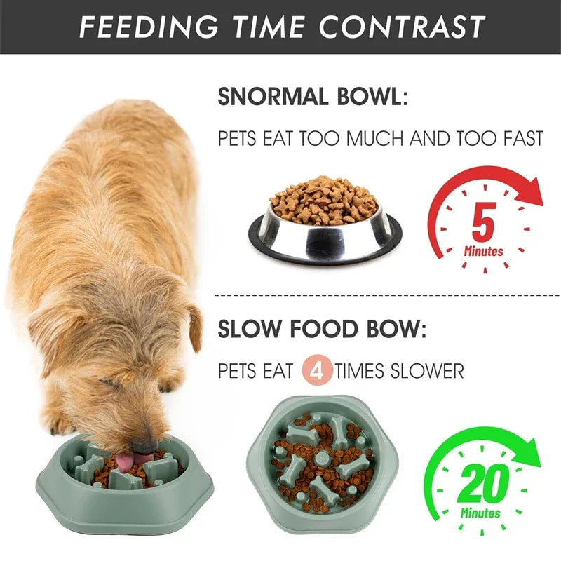 Slow Feeder Dog Bowl – Anti-Slip Maze Puzzle for Small & Medium Dogs