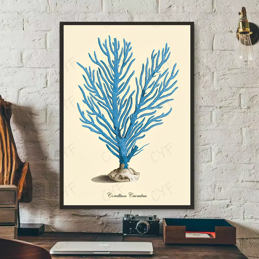 Blue Sea Creature Coral Shrimp Poster HD art sticky wall waterproof home living room bedroom bar aesthetic decoration Peaceful Pleasures Health and Wellness z6 30X40cmNoframe