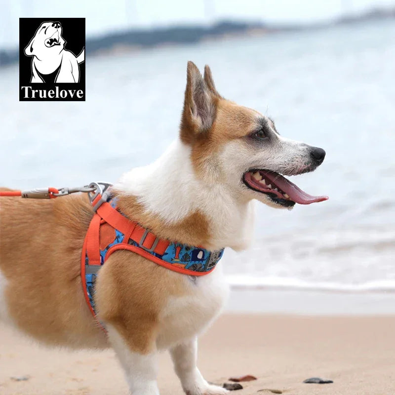 Truelove Easy to Take-on Dog Harness Soft Material Fashion Design Adjustable Reflective Pet Har TLH3013 TLH30131 Peaceful Pleasures Health and Wellness Firecracker- S China Mainland