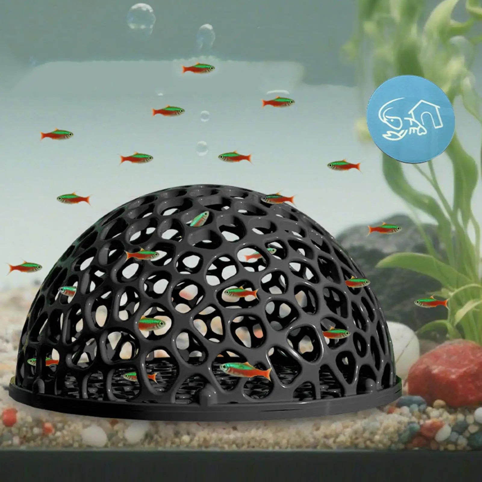 Shrimp Hides Aquarium shrimp house Cave Shrimp Hiding Place Betta Habitat Fish Resting Place Aquarium Fish Tank Decoration Peaceful Pleasures Health and Wellness