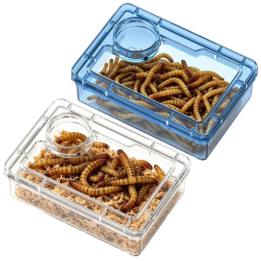 Escape Proof Reptile Food Dish Compartment Feeding Bowl For Leopard Gecko Hermit Crab Frog Spider Chameleon Iguana Lizard Tank Peaceful Pleasures Health and Wellness