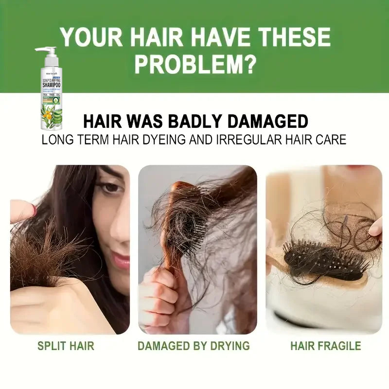 Sulfate-Free Scalp Shampoo | Tea Tree & Arnica | All Hair Clarifying Shampoo Peaceful Pleasures Health and Wellness