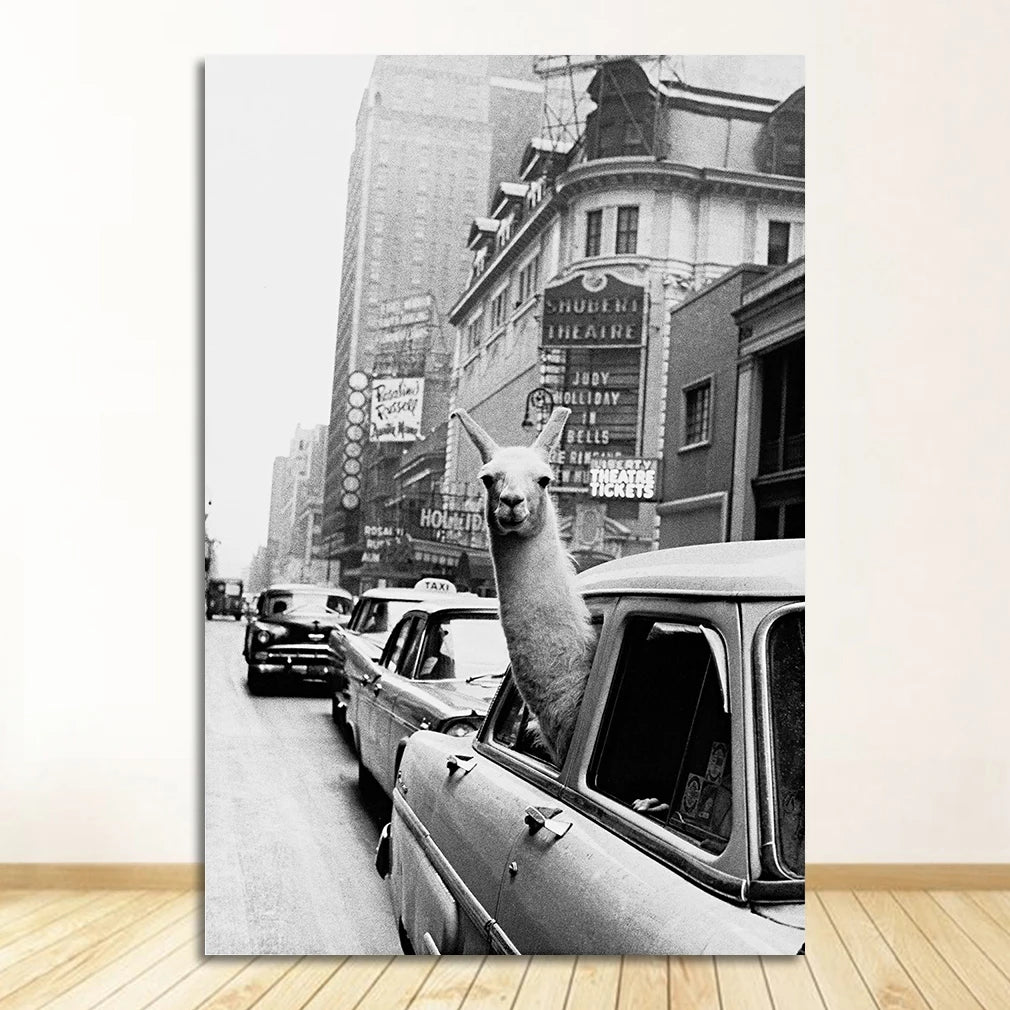 Zoo Animals Canvas Wall Art – Elephant Zebra Llama NYC Print Canvas Wall Art Peaceful Pleasures Health and Wellness 2208-01 50x70cm Unframed