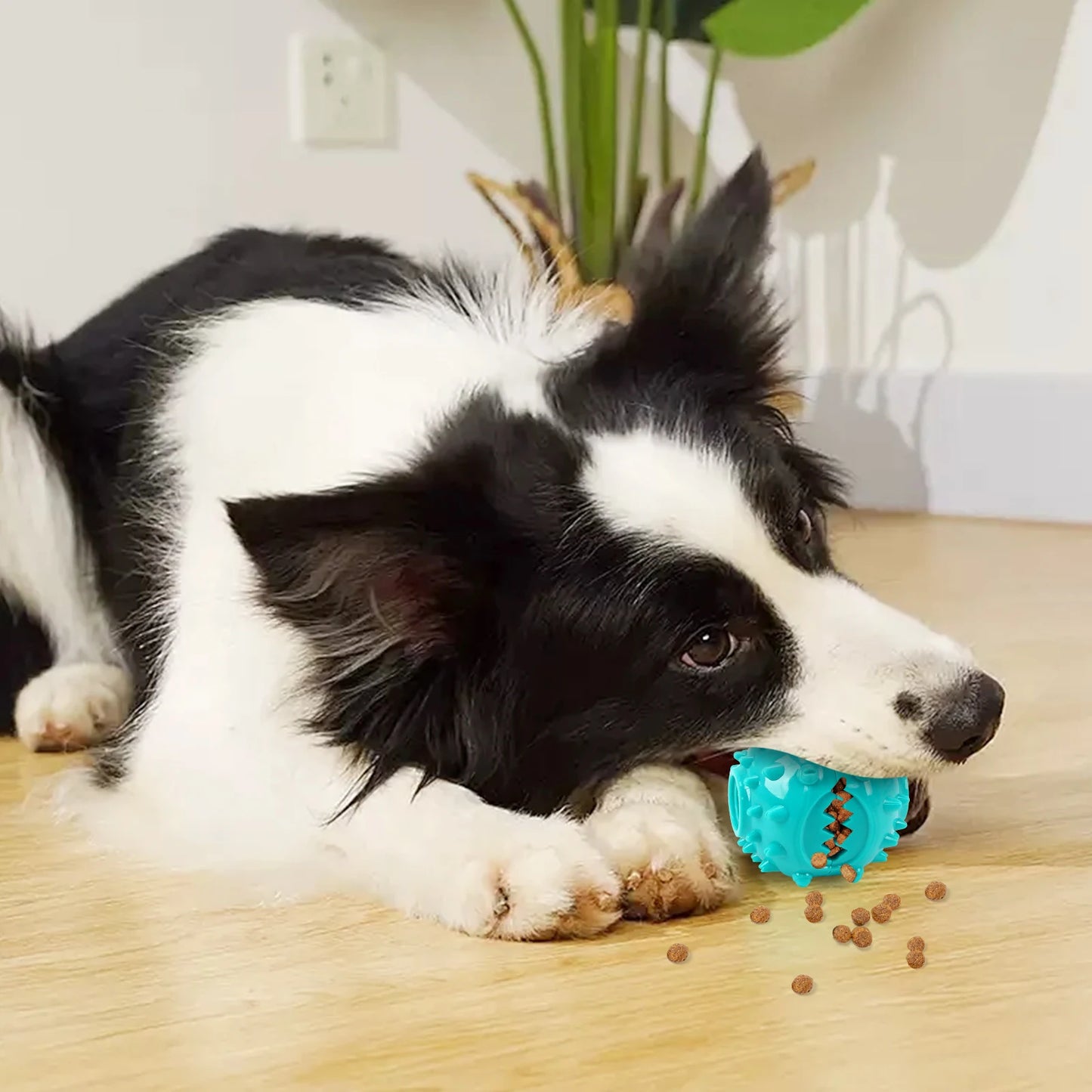 Dog Grinding Teeth Toys Chew Cleaning Anti Bite Interactive Training