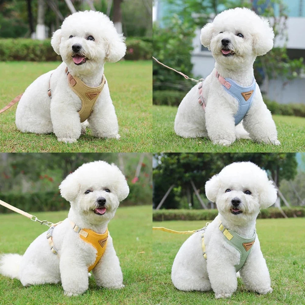Breathable Puppy Harness & Leash Set – Small & Medium Dogs