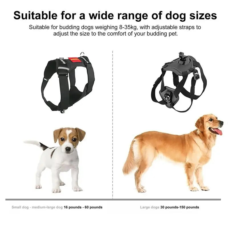 Dog Harness For Camera Soft Adjustable Dog Harness Vest Pet Chest And Back Fixation With Mounting Base Small Animal Accessories Peaceful Pleasures Health and Wellness