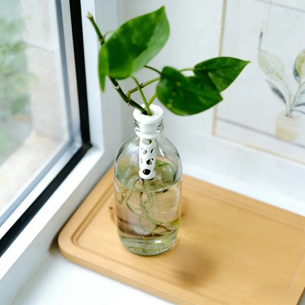 3D Printed Hydroponic Plant Holders | Indoor Basket Stand 2-Pack