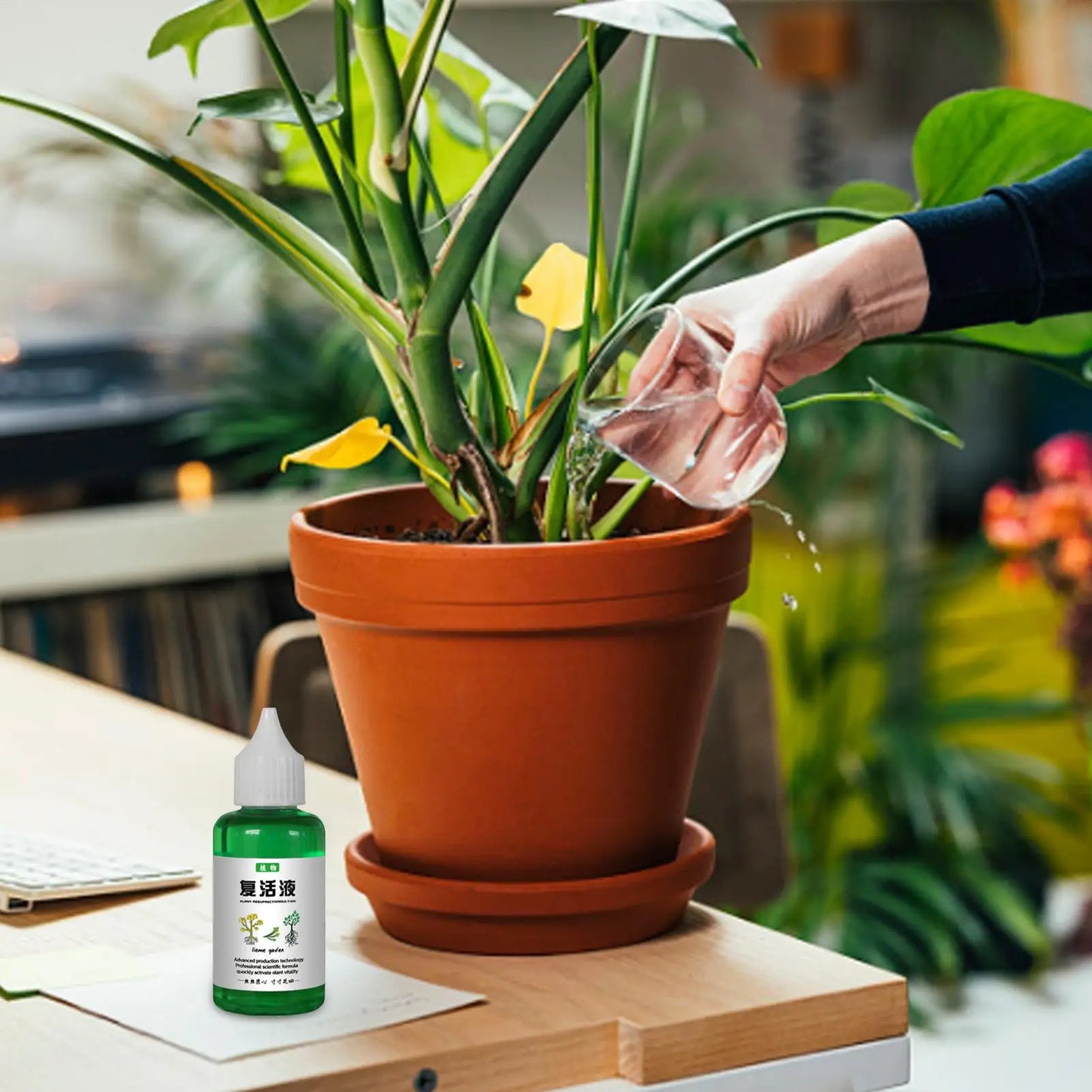 Plant Revitalizer Liquid – Organic Nutrient Solution for Fast Growth