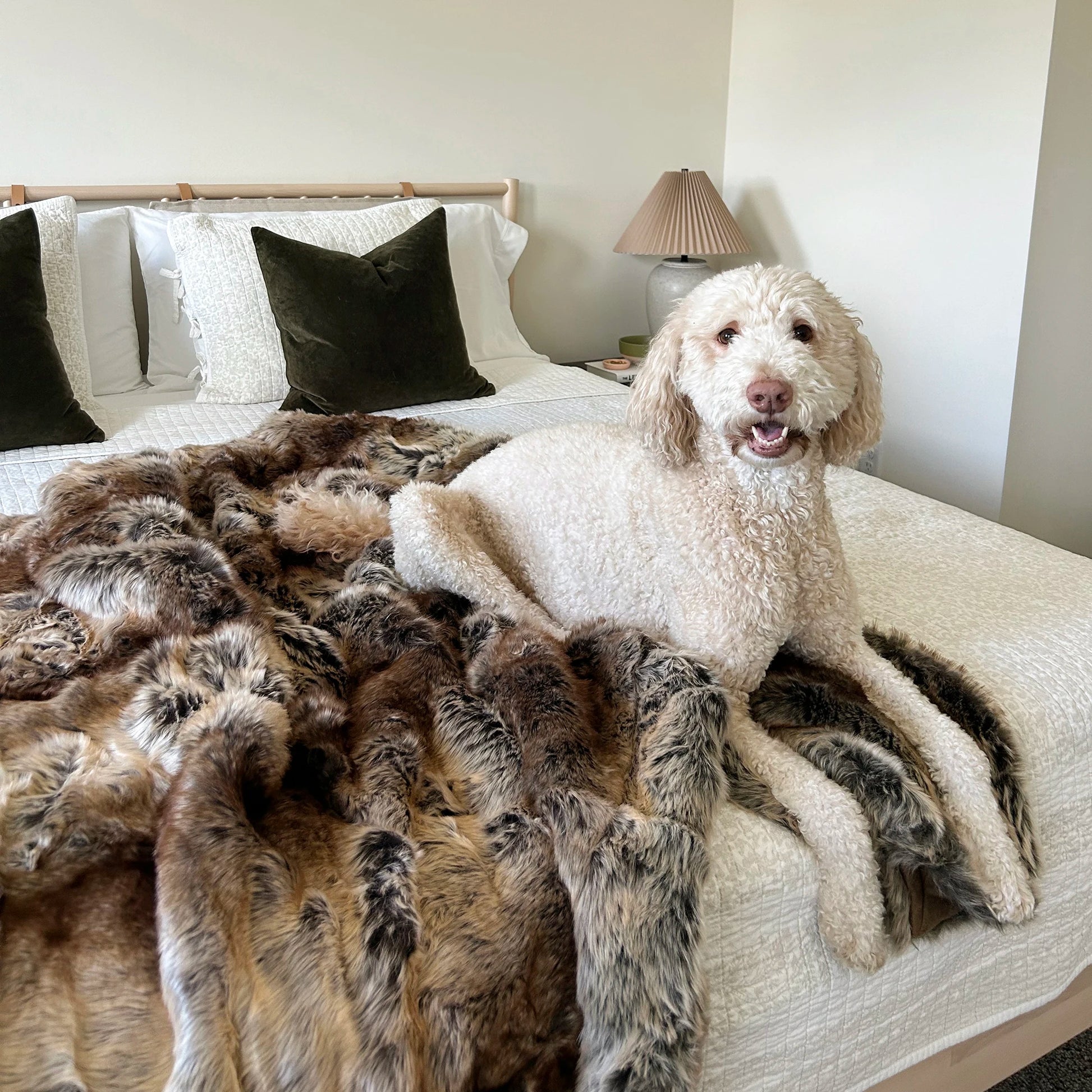 Battilo Faux Fur Blanket Luxury Fluffy Plaid Throw Blanket Winter Thick Warm Sofa Blanket Plush Fur Throws for Bed Bedroom Decor Peaceful Pleasures Health and Wellness
