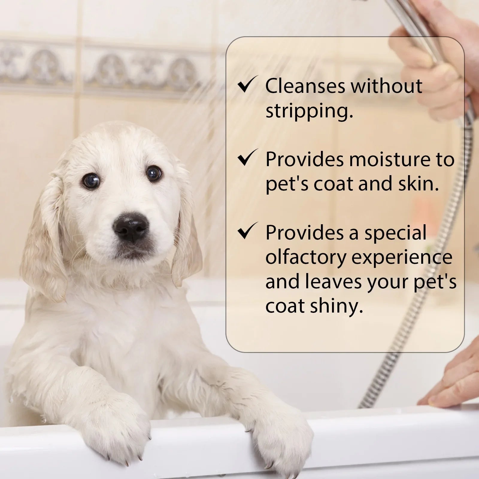 Pet Shampoo Cats and Dogs Gentle Cleansing Natural Formula Smooth Non Tangling Fur Fragrance Moisturizing Pet Grooming Supplies Peaceful Pleasures Health and Wellness