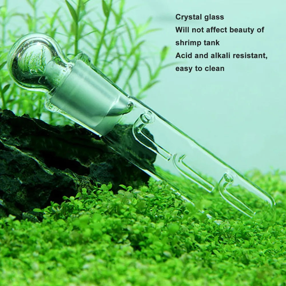 3-Pack Glass Planaria & Leech Trap Set | Aquarium Shrimp Tank