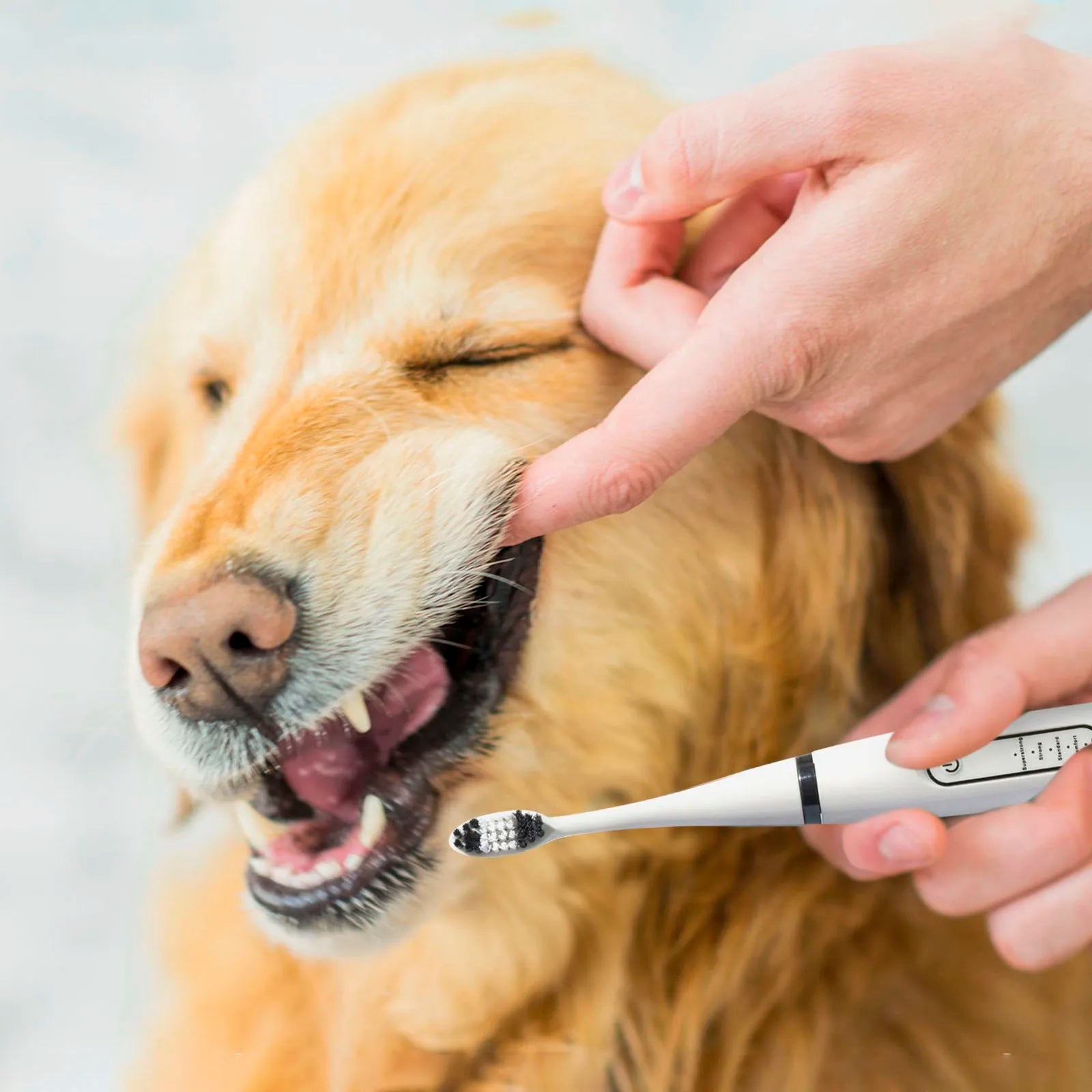 Ultrasonic Portable Electric Dog Toothbrush Professional Plaque Calculus Removal Teeth Whitening for Pet Dental Care Peaceful Pleasures Health and Wellness