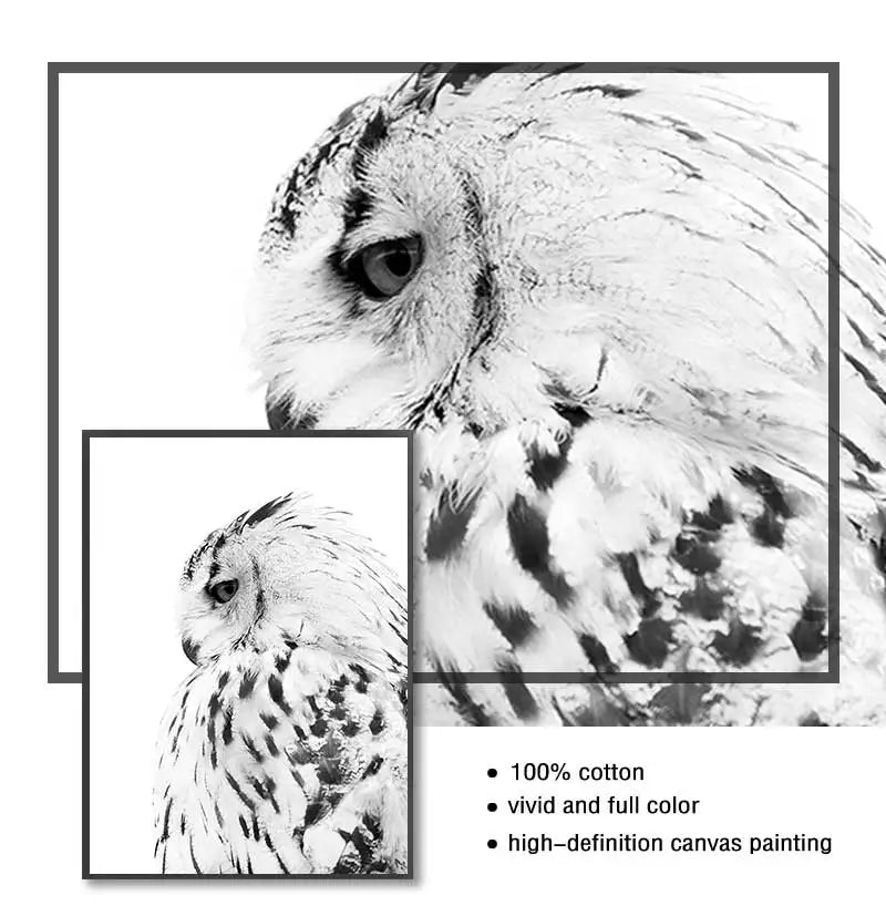 Realistic Owl Canvas Wall Art | Scandinavian Animal Poster