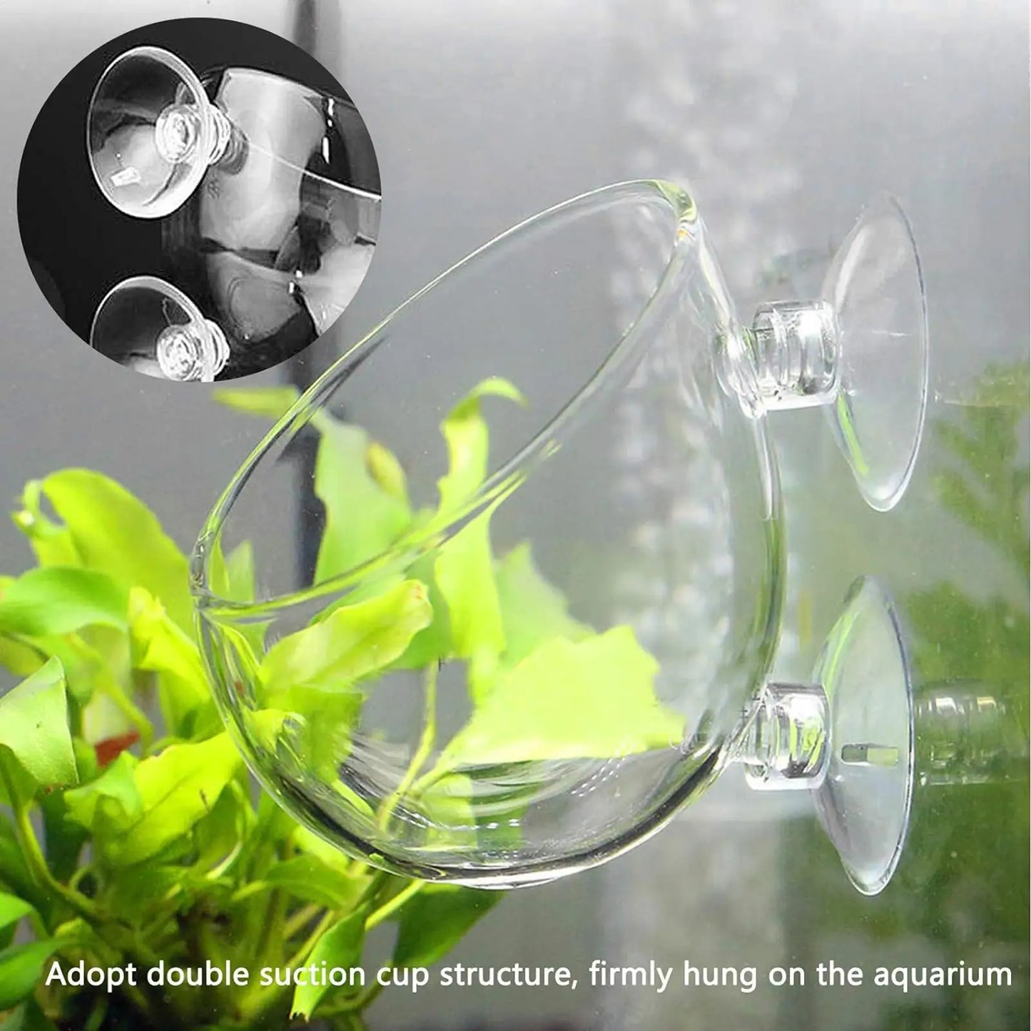 Glass Aquarium Plant Pot with Suction Cups | Fish Tank Planter