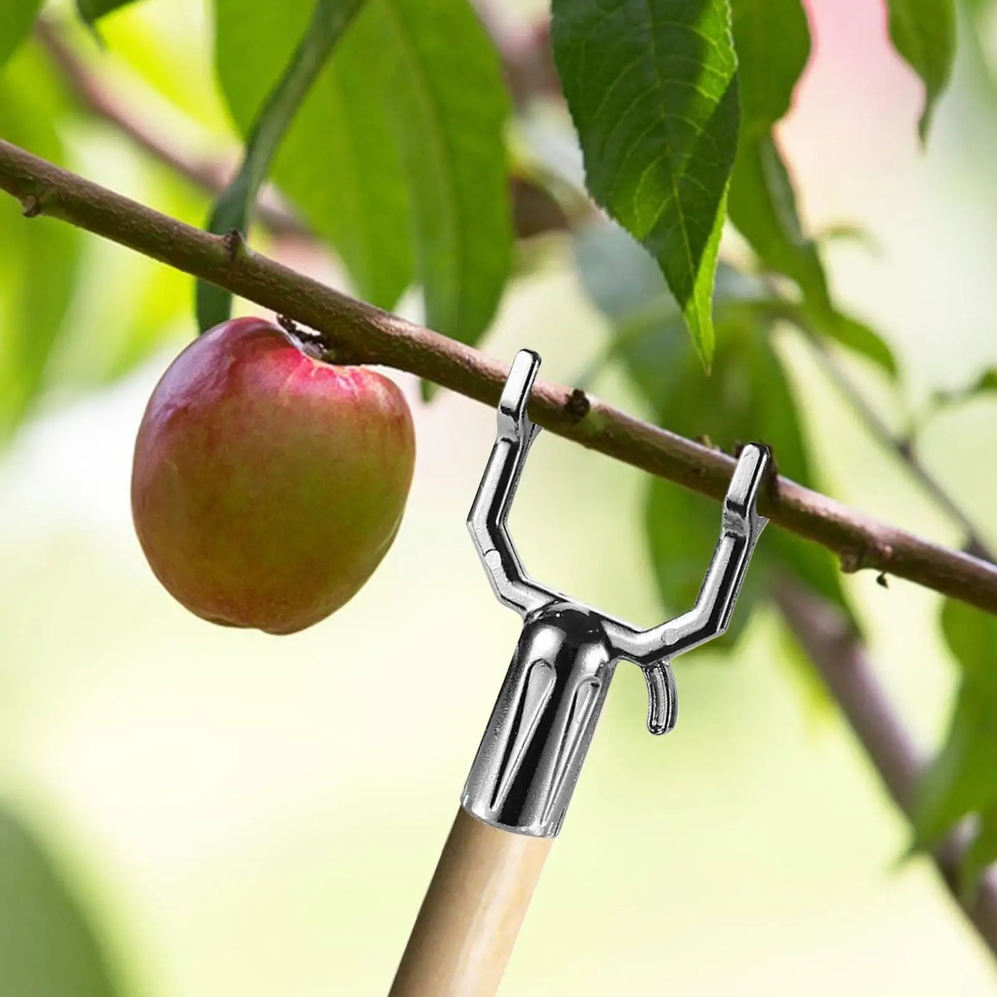 5-Pack Reusable Tree Branch Support Stands | Leaning Trees