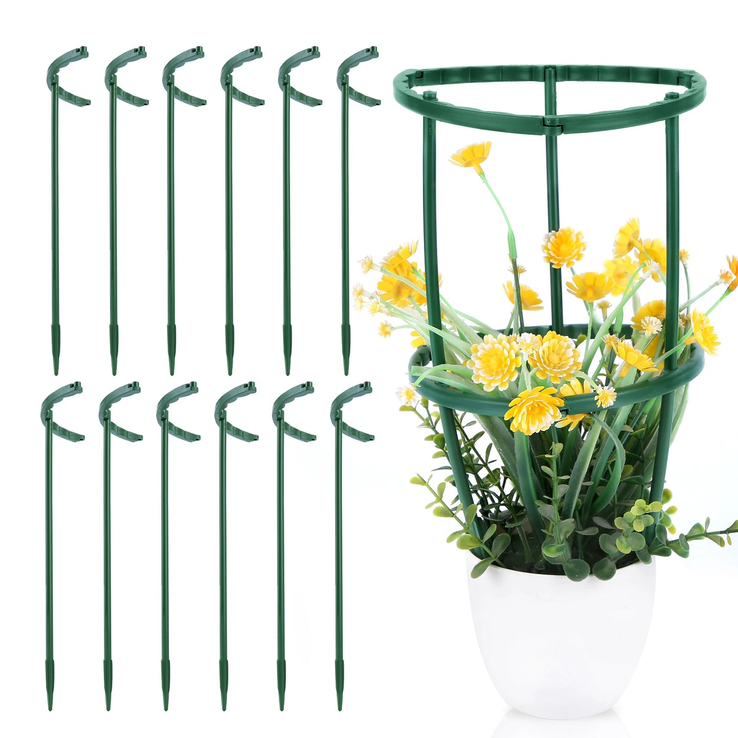 6-Pack Half-Round Plant Support Stakes – Indoor & Garden Use Peaceful Pleasures Health and Wellness