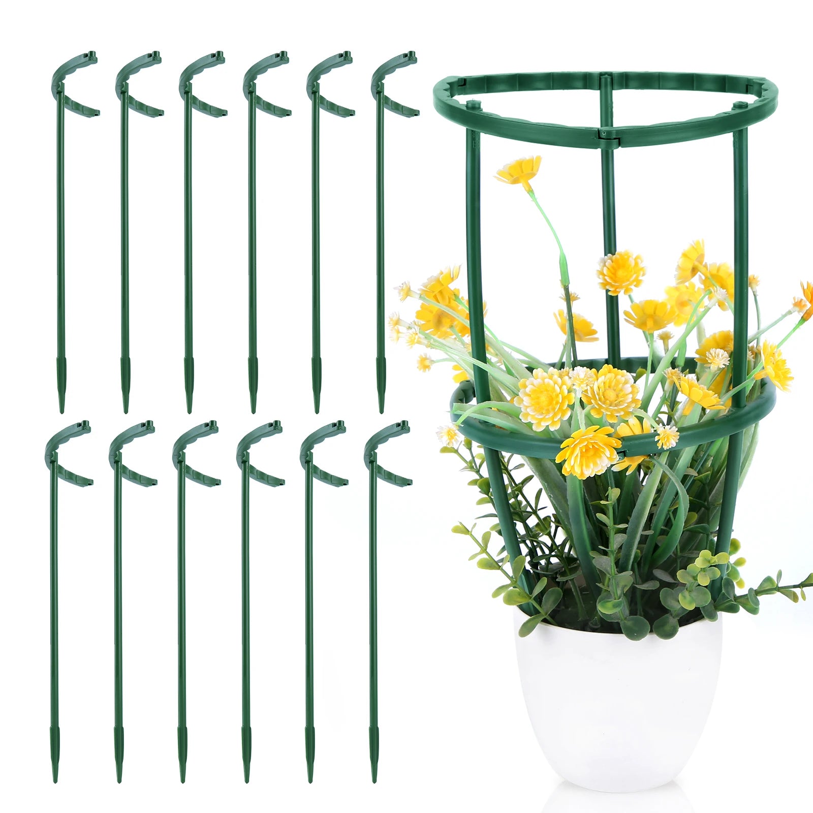 6-Pack Half-Round Plant Support Stakes – Indoor & Garden Use Peaceful Pleasures Health and Wellness