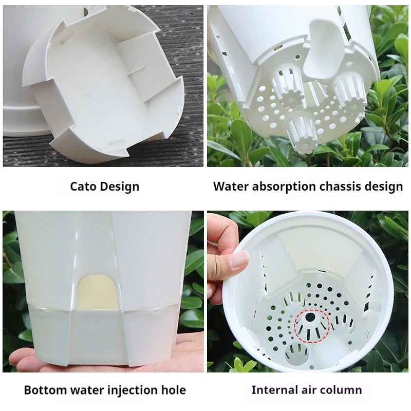 Self-Watering Transparent Orchid Pot | Double Layer Hydroponic
