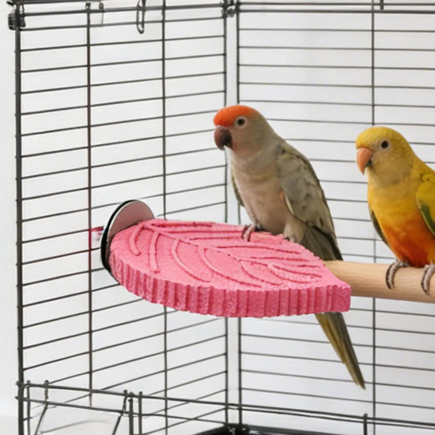 Resin Bird Perch Stand for Cockatiels & Parakeets | Cage Toy
