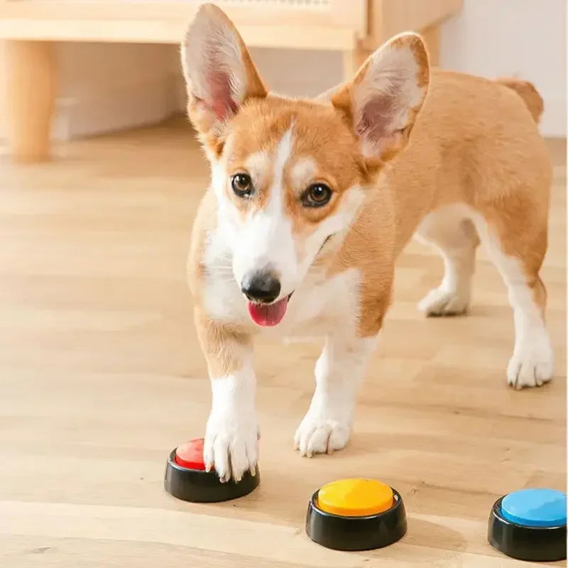 Pet Sound Box Recordable Talking Button Cat Voice Recorder Toy