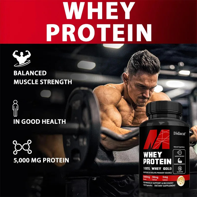 Didacat Whey Protein Concentrate, with 5000mg Protein, Gluten Free & Non-GMO, Boost Immunity and Support Post-exercise Recovery Peaceful Pleasures Health and Wellness