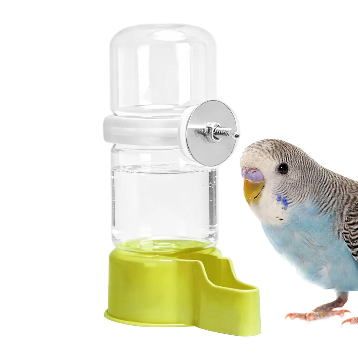 Automatic Hanging Bird Water Dispenser – Parrot & Cage Feeder