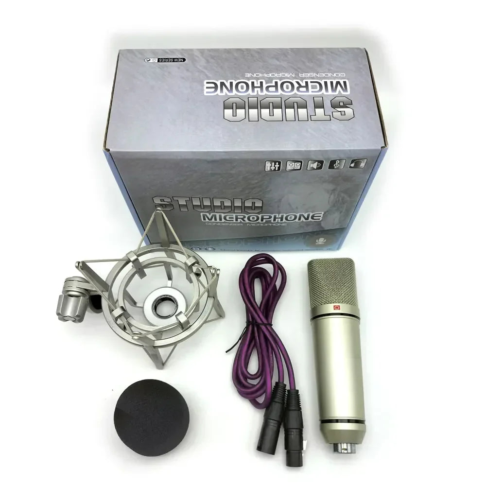 AyeBeau Condenser Microphone – Studio, PC & Karaoke Recording