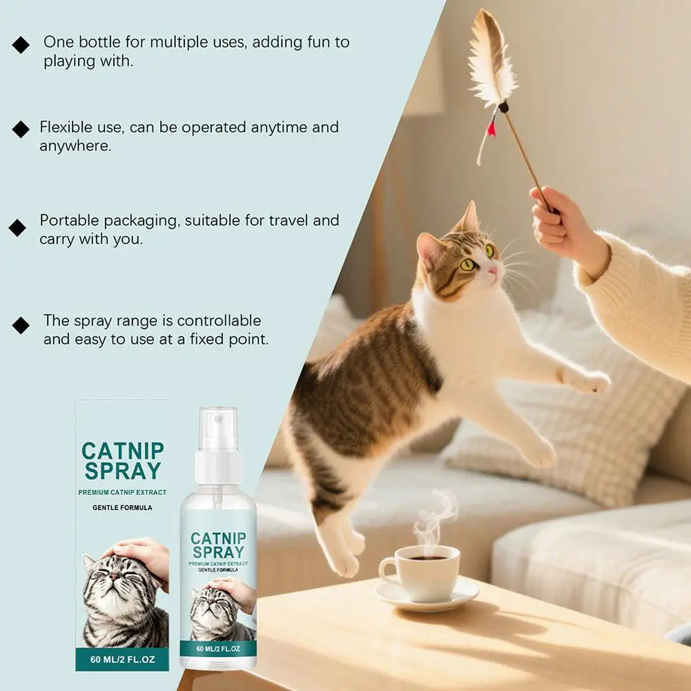 Catnip Spray for Cats – Calming, Stress Relief & Play