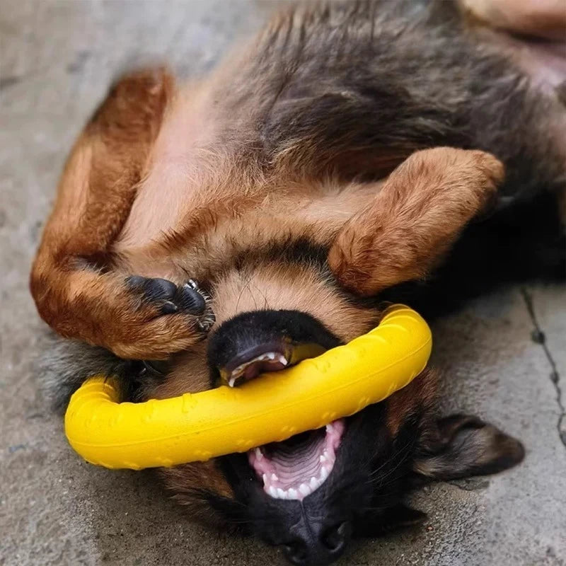 Indestructible Dog Ring Toy – Fetch, Float & Chew All Sizes
