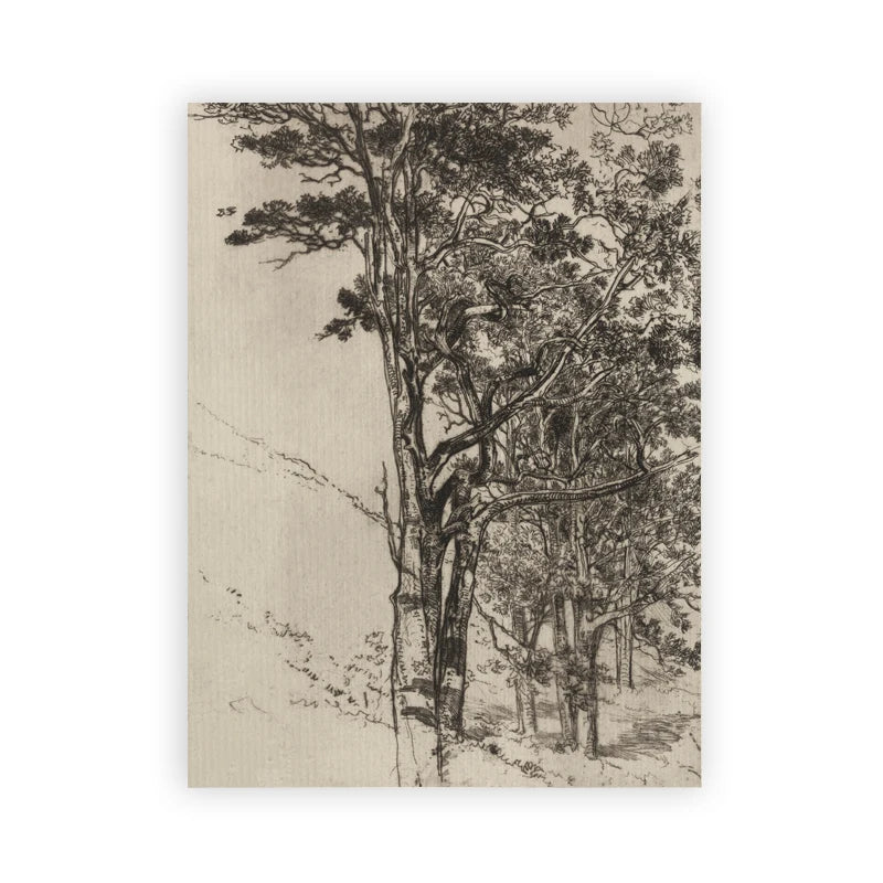 Farmhouse Botanical Canvas Wall Art – Vintage Rustic Tree Print Canvas Wall Art Peaceful Pleasures Health and Wellness T80284-12 20x30cm Unframed