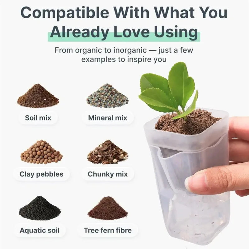 Transparent Self-Watering Plant Pot | Seedling Propagation Planter