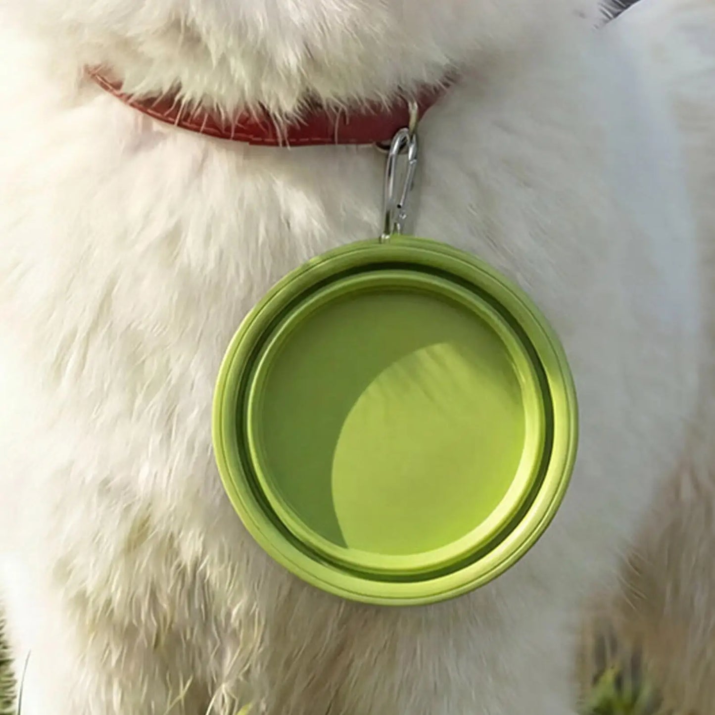 Foldable Silicone Pet Bowl – Portable Travel Food & Water Bowl