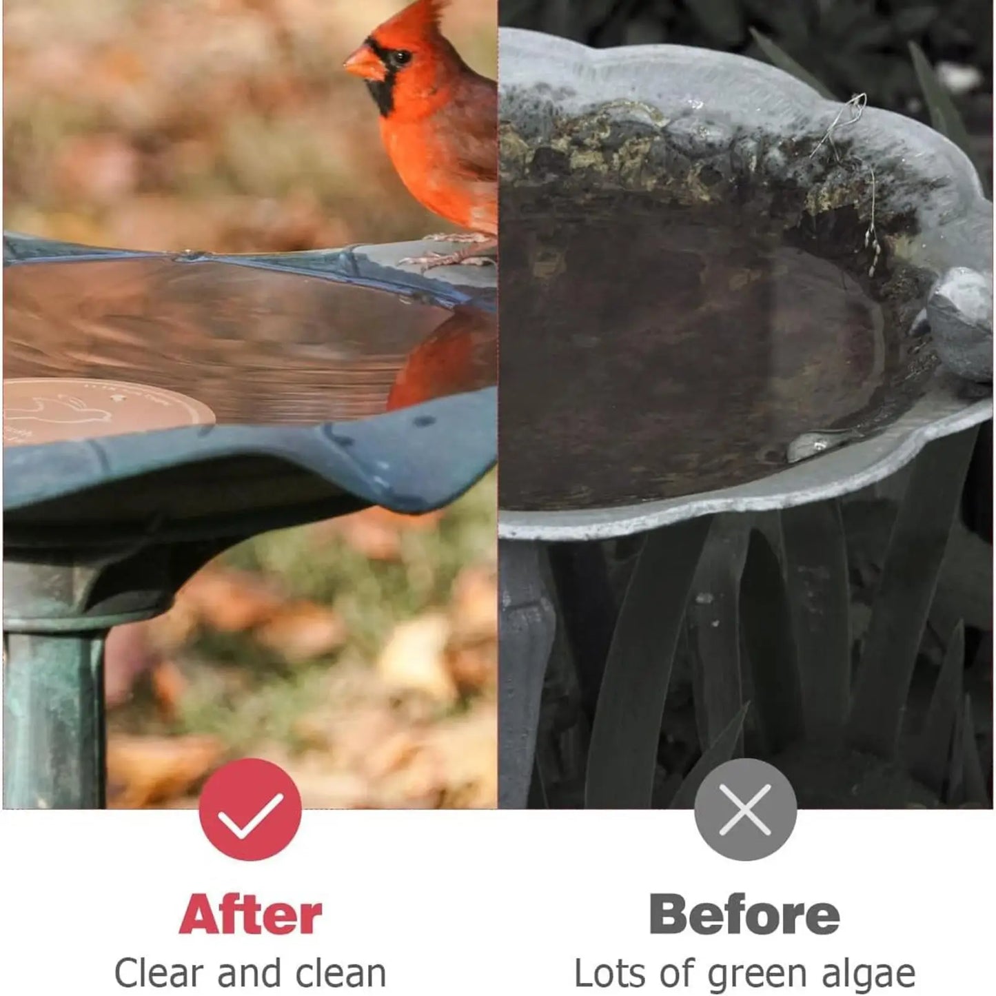 Copper Bird Bath Disk | Triple-Point Purifier Disc for Garden