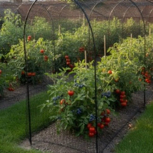 Heavy Duty Black Garden Bird Netting – Reusable PE Mesh Garden Bird Netting Oasis Select