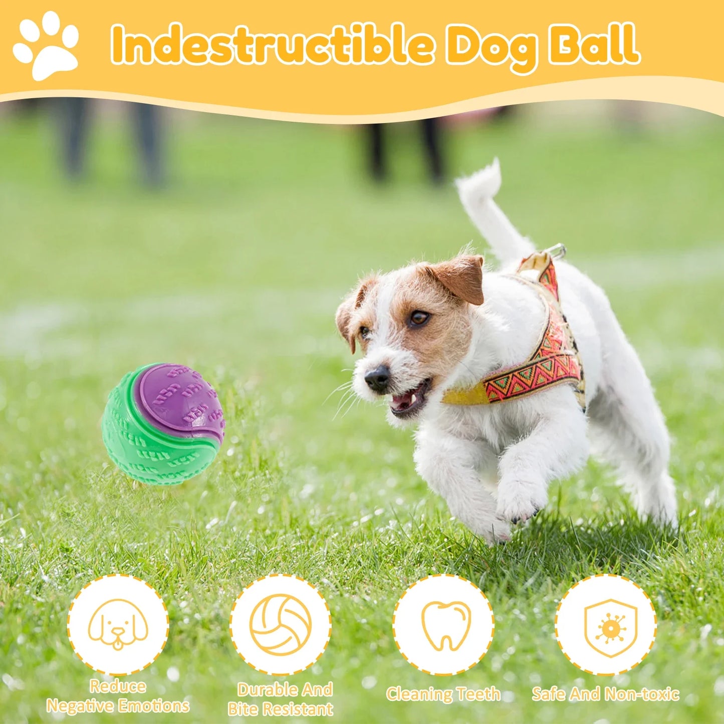 Squeaky Dog Ball Toy – Durable TPR Chew & Fetch Ball