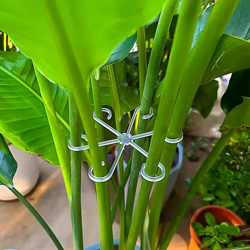 4PCS Plant Stem Support Stakes – Climbing Houseplant Trellis Hoops