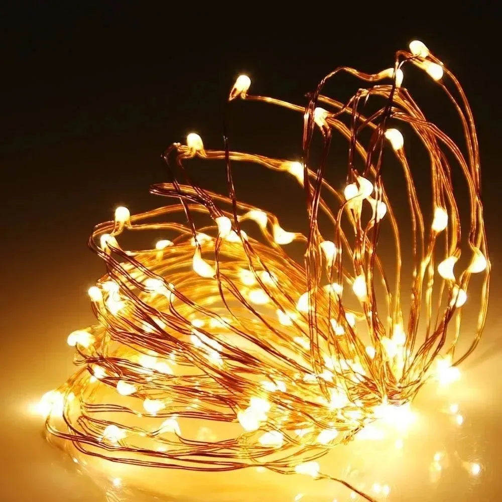 USB Copper Wire Fairy Lights 20M 200 LED String – Indoor & Out